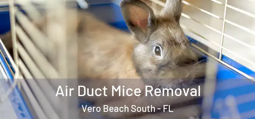 Air Duct Mice Removal Vero Beach South - FL