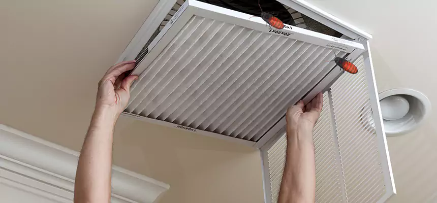 Preventive Cockroach-Proofing for Ducts in Vero Beach South