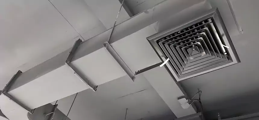 Restorative Allergy Relief Vent Cleaning – Coil, Blower & Housing Detail in Vero Beach South