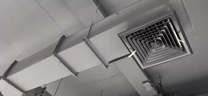 Our Pest Removal From Ducts Services in Vero Beach South, FL