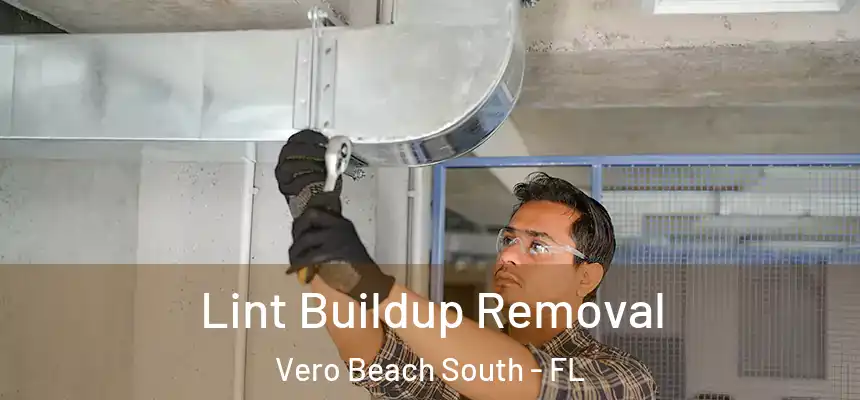  Lint Buildup Removal Vero Beach South - FL