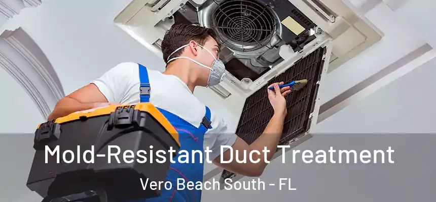  Mold-Resistant Duct Treatment Vero Beach South - FL