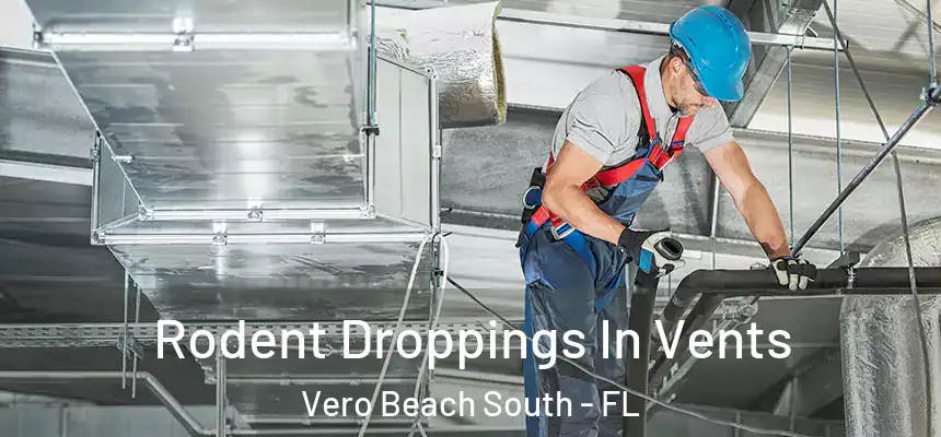 Rodent Droppings In Vents Vero Beach South - FL