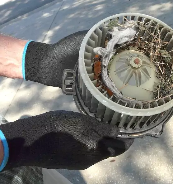 About Air Duct Rat Removal in Vero Beach South, FL