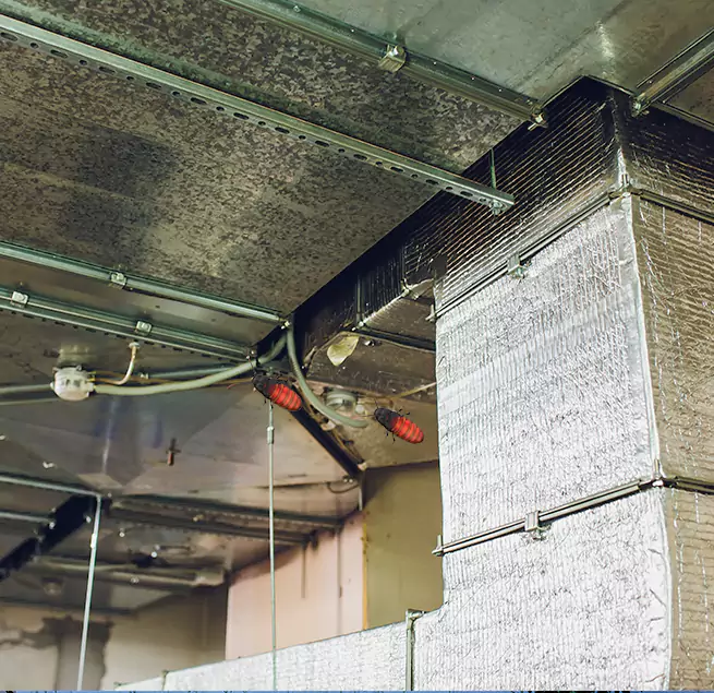 Why Homeowners & Businesses Trust Us in Vero Beach South, FL?