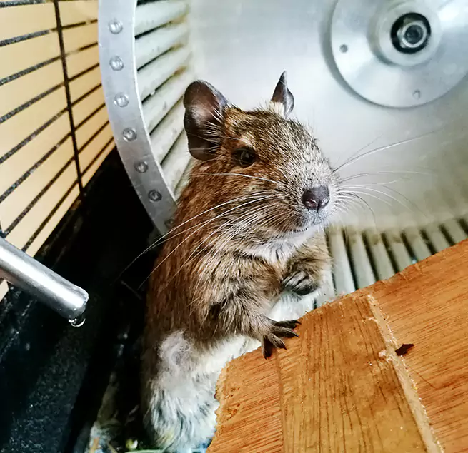 Why Homeowners & Businesses Trust Us Vero Beach South, FL