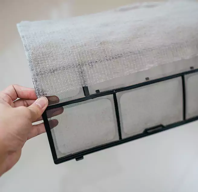 Why Homeowners & Businesses Trust Us in Vero Beach South, FL?