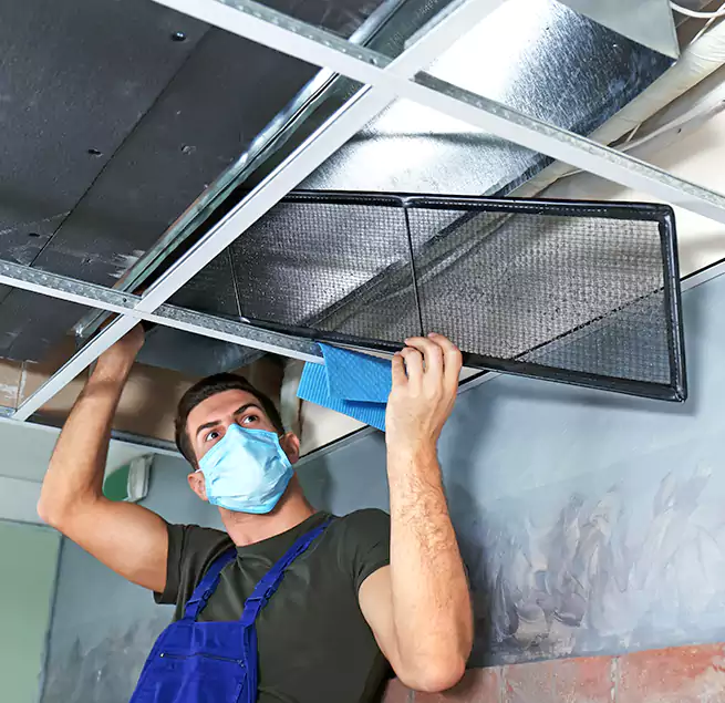 Why Homeowners Businesses Trust Us in Vero Beach South, FL